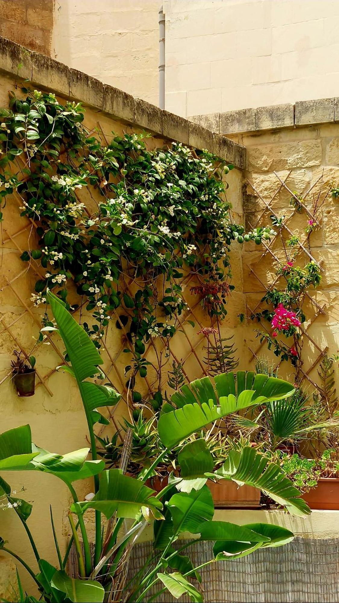 Ta' Didi B&B Kercem Exterior photo
